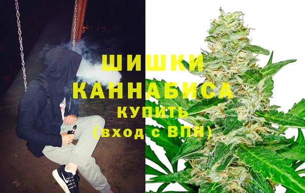 гидропоника Белокуриха