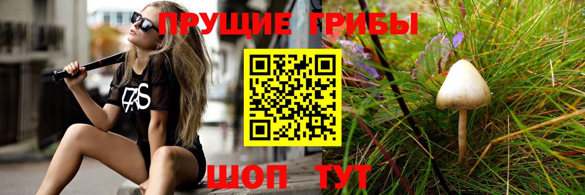 Псилоцибиновые грибы мицелий Бузулук